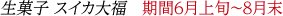 生菓子 スイカ大福 期間6月上旬~8月末